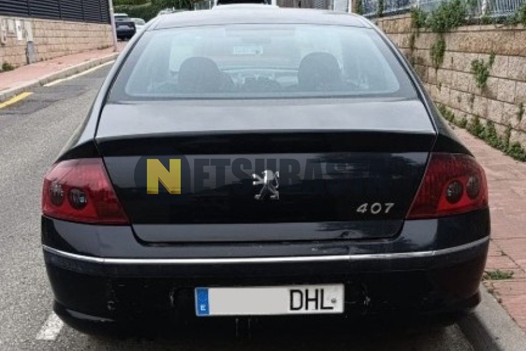 Peugeot 407 2.0 HDi 2005