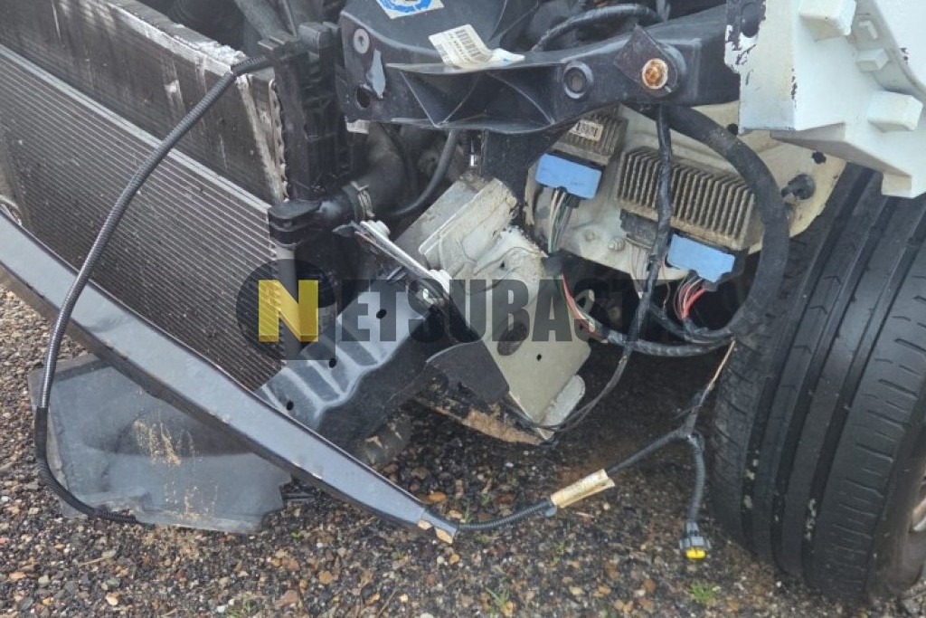 Renault Kangoo Furgon 1.5 dCi 2019