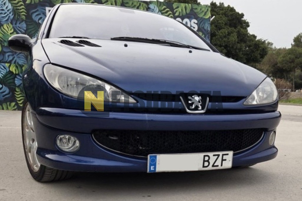 Peugeot 206 2.0 2002