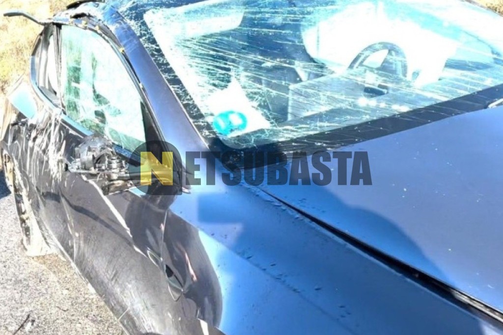 Tesla Model Y Gran autonomía Tracción integral 2023