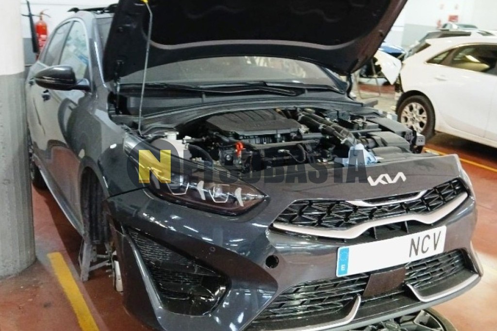 Kia Ceed 1.5 MHEV DCT 2025