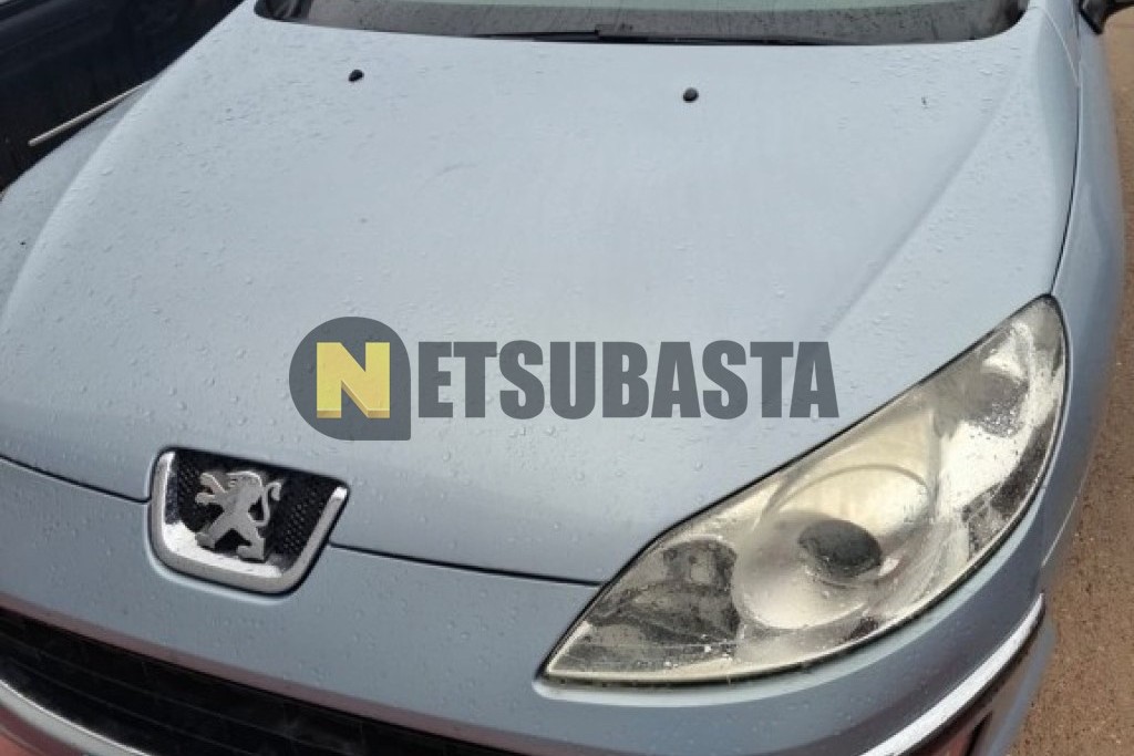 Peugeot 407 2.0 2005