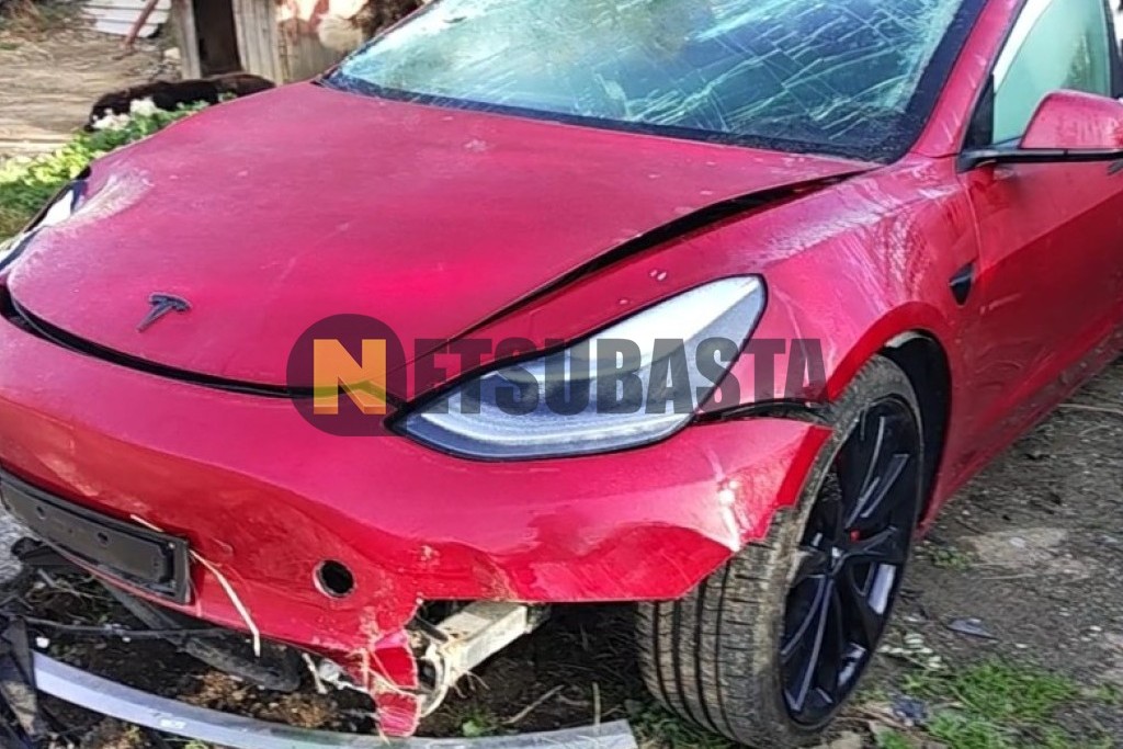 Tesla Model 3 Traccion Integral 2019