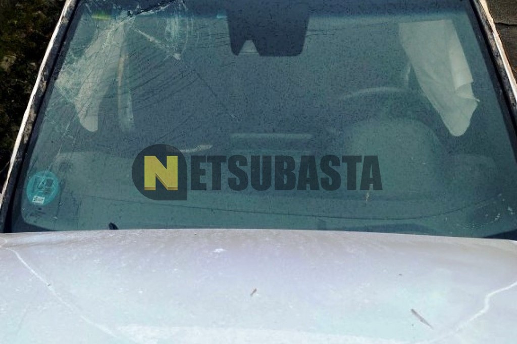 Hyundai i30 2.0 T-GDi N Performance 2020