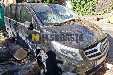 Benelli Leoncino 250 2020