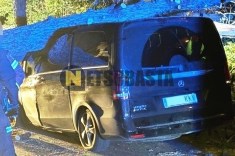 Benelli Leoncino 250 2020