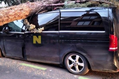 Benelli Leoncino 250 2020