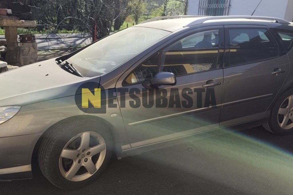 Peugeot 407 SW 2.0 HDi FAP 2009