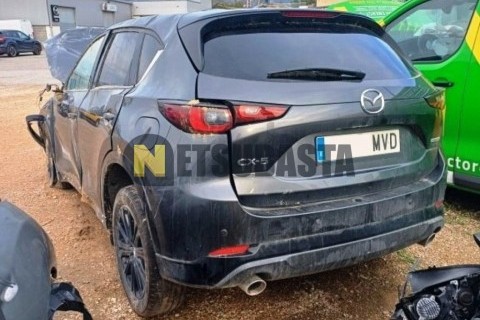 Suzuki Epicuro 150 2000