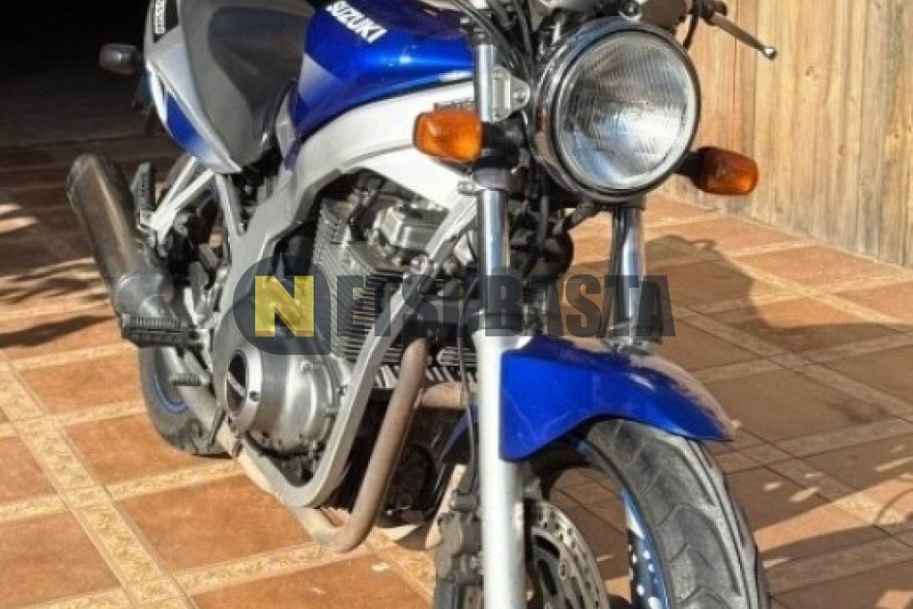 Suzuki GS 500 2002