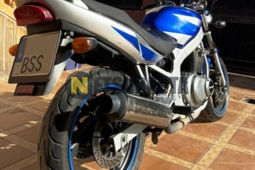Suzuki GS 500 2002