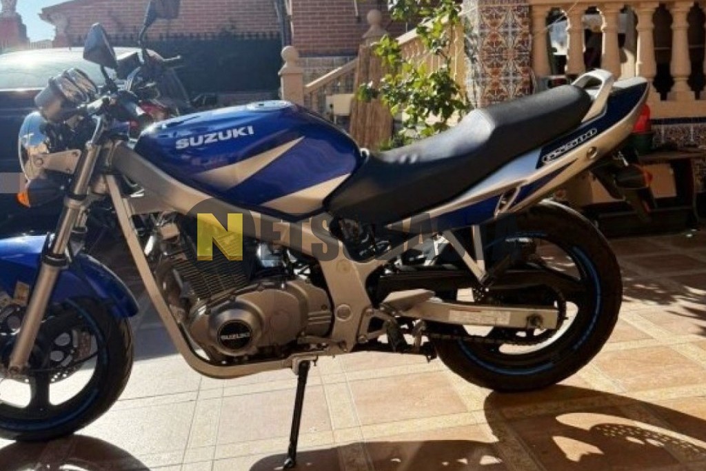 Suzuki GS 500 2002