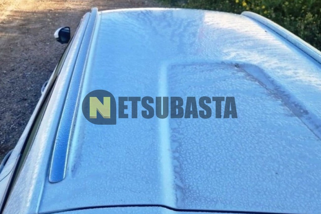 Renault Talisman Sport Tourer Blue 2.0 dCi EDC 2020