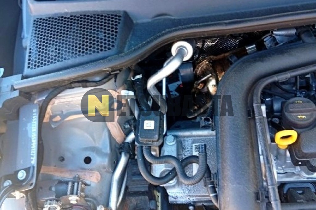 Seat Arona 1.0 TSI DSG 2025