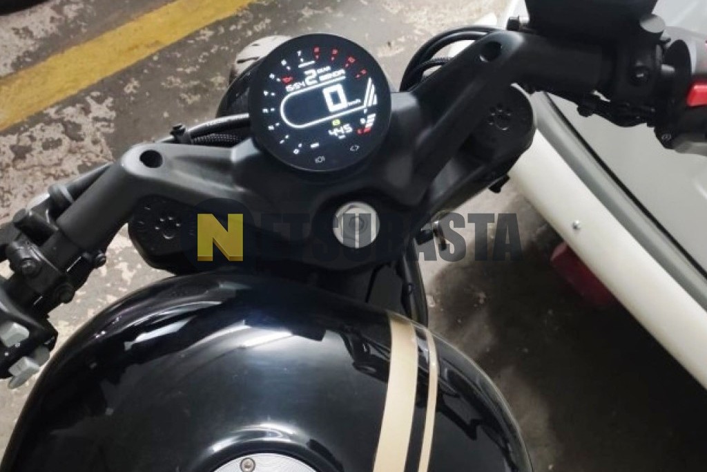 Benda Napoleon Bob 500 2025