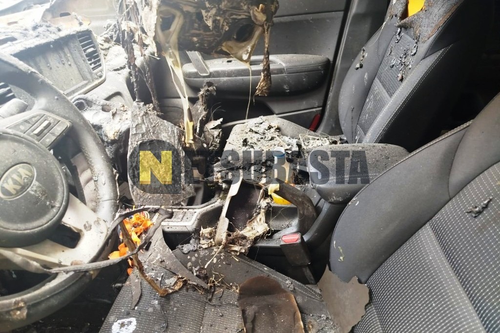 Kia Sportage 1.6 GDi 4x2 2019