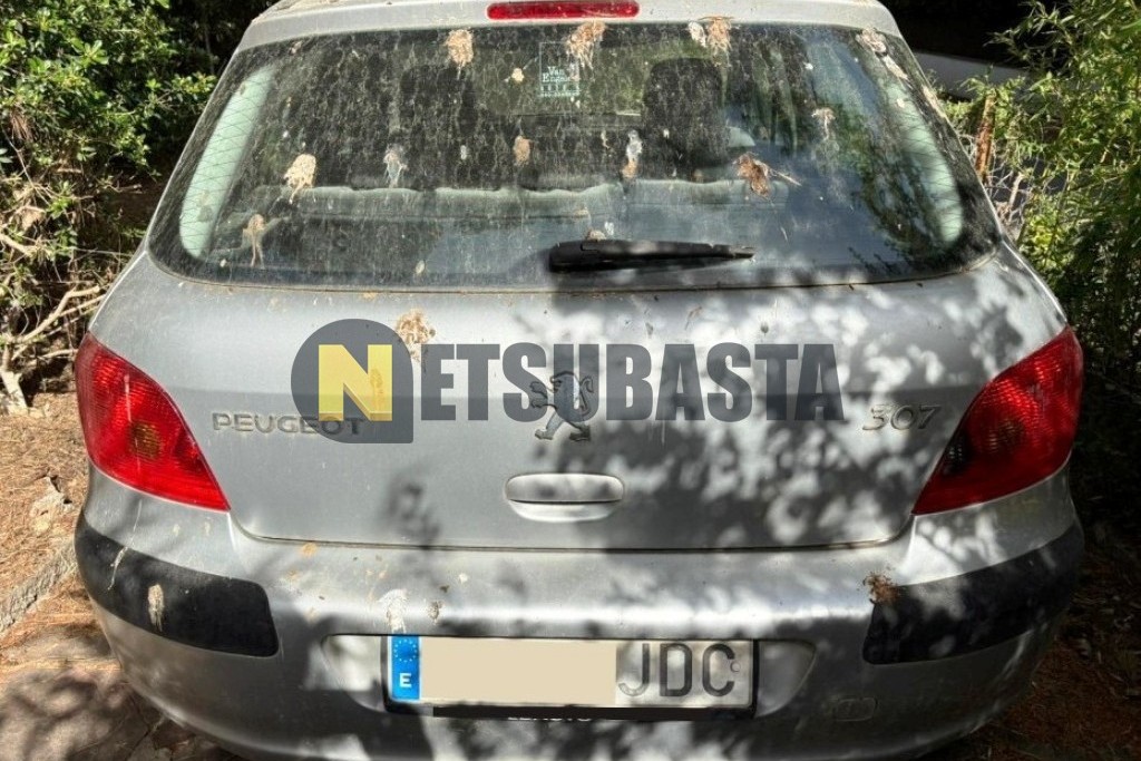 Peugeot 307 1.6 2005