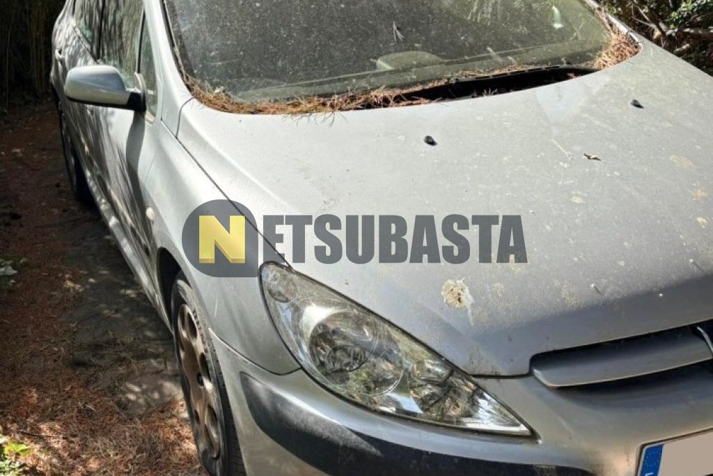 Peugeot 307 1.6 2005