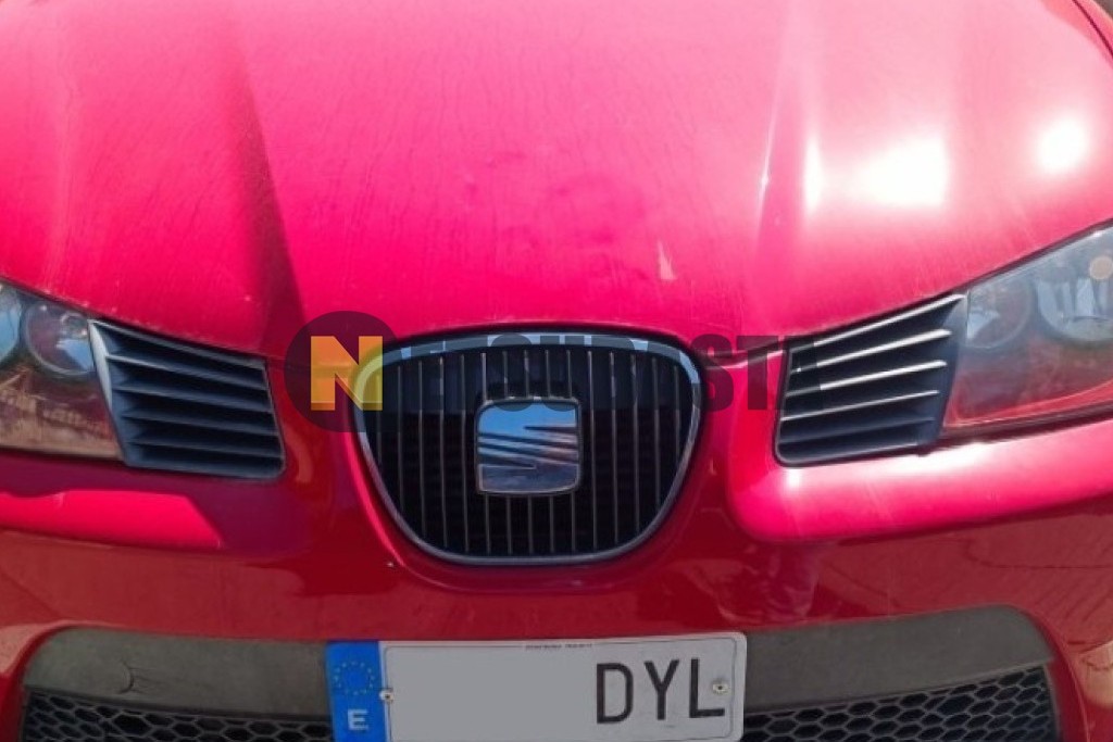 Seat Ibiza 1.9 TDI Cupra 2006
