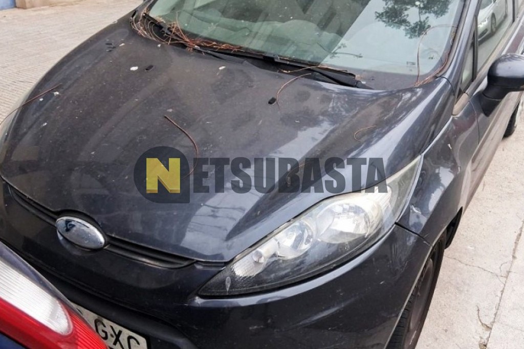 Ford Fiesta 1.4 TDCi 2010