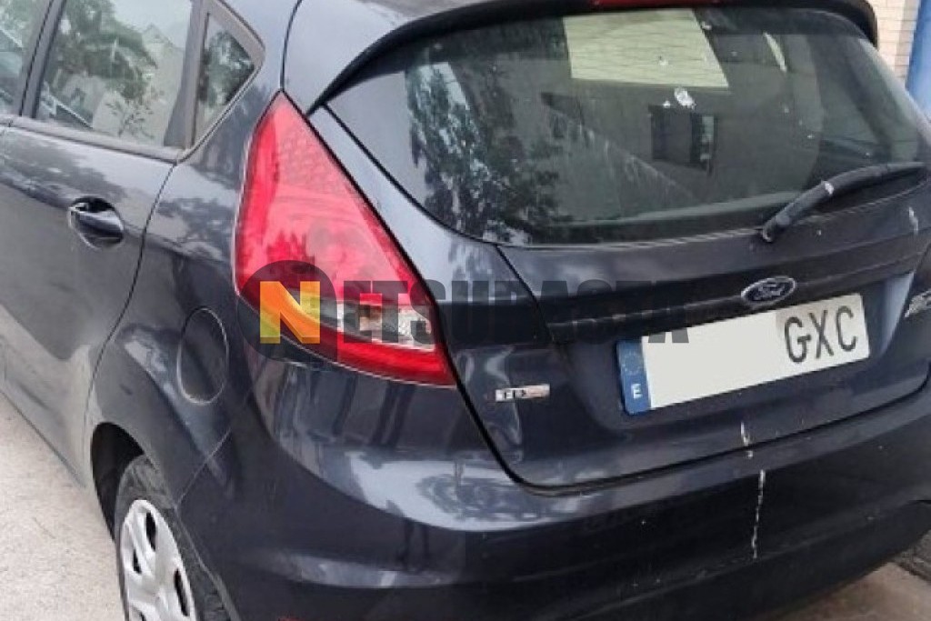 Ford Fiesta 1.4 TDCi 2010