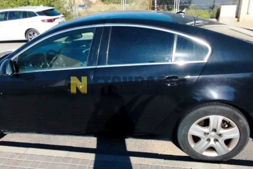Opel Insignia 2.0 CDTI ecoFLEX 2009