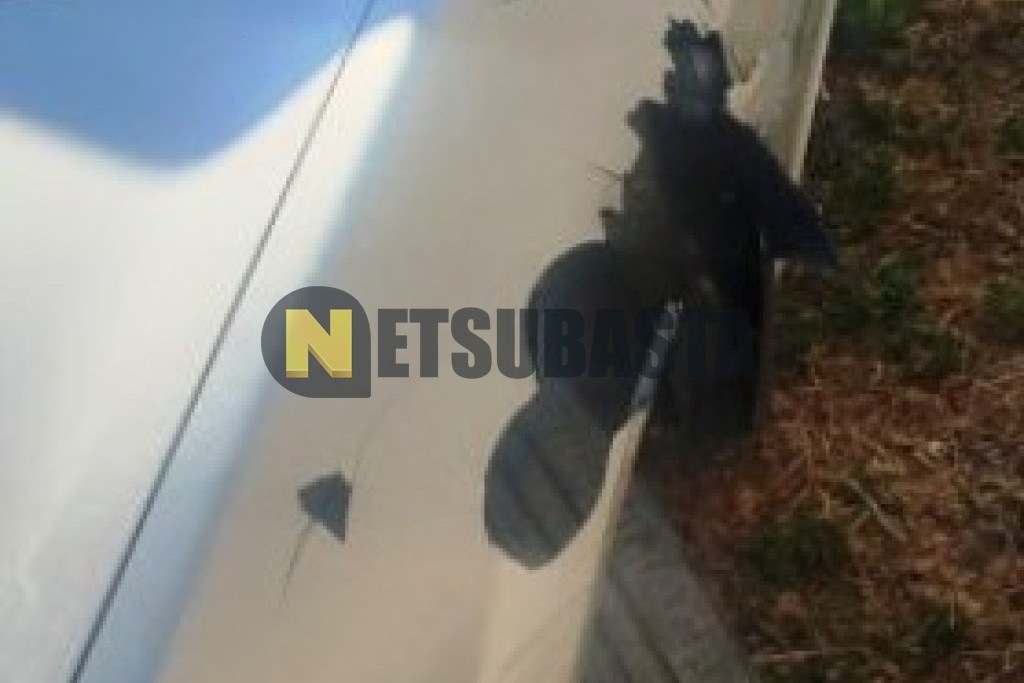 Renault Megane 1.5 dCi 2006