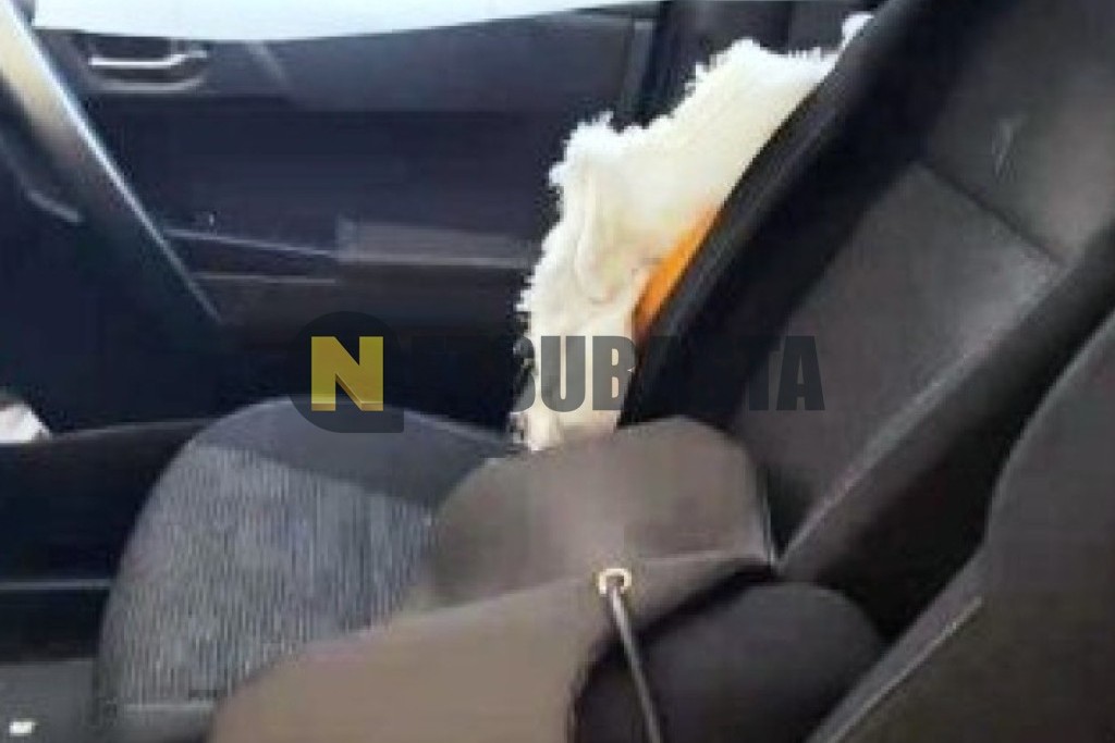 Toyota Auris Touring Sport 120D 2014