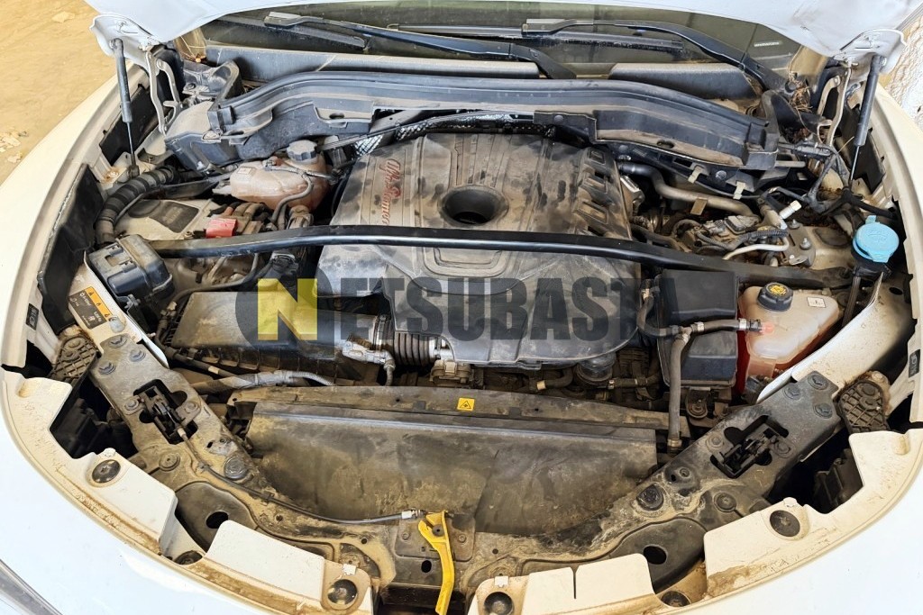 Alfa Romeo Stelvio 2.2 Diesel AT8 Q4 2019