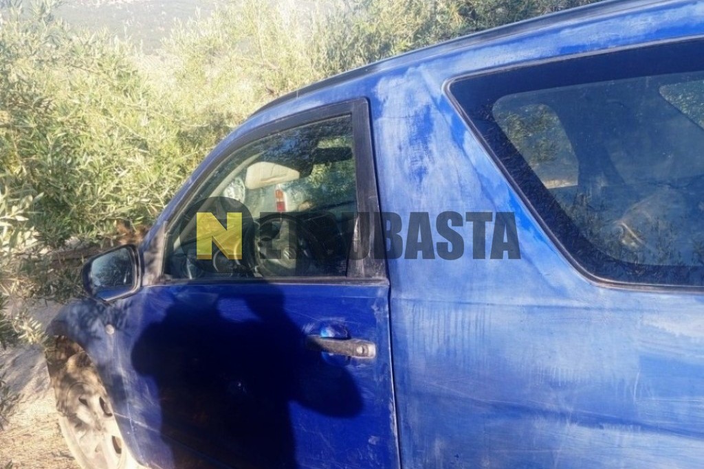 Suzuki Grand Vitara 1.9 DDiS 2007