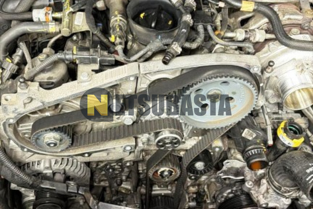 Alfa Romeo Stelvio 2.2 Diesel AT8 Q4 2019