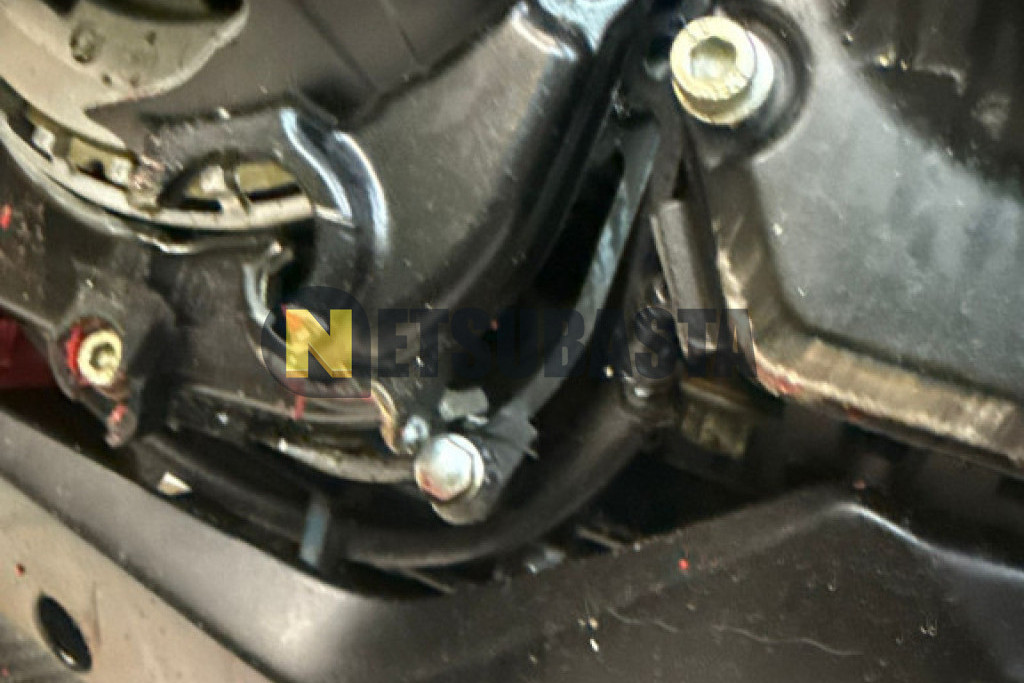 Kawasaki Z 900 2024