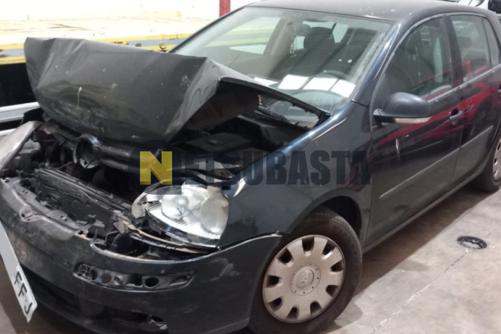 Volkswagen Golf 1.9 TDI 2006