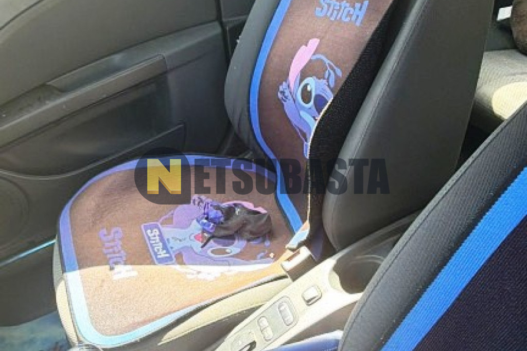 Seat Leon 1.9 TDI 2007