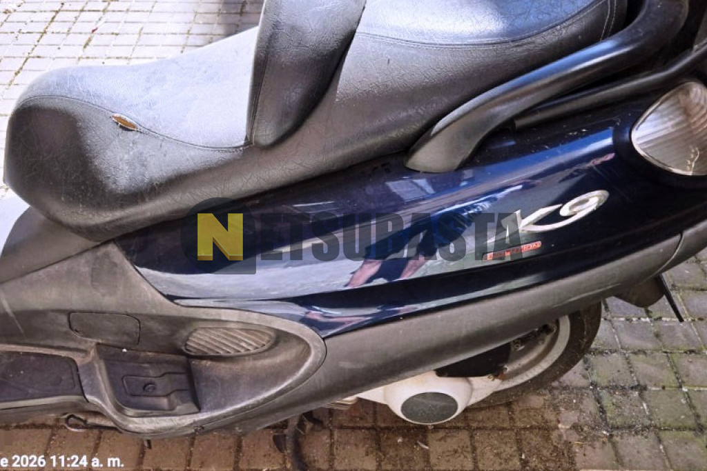 Piaggio X9 EVOLUTION 125 2006