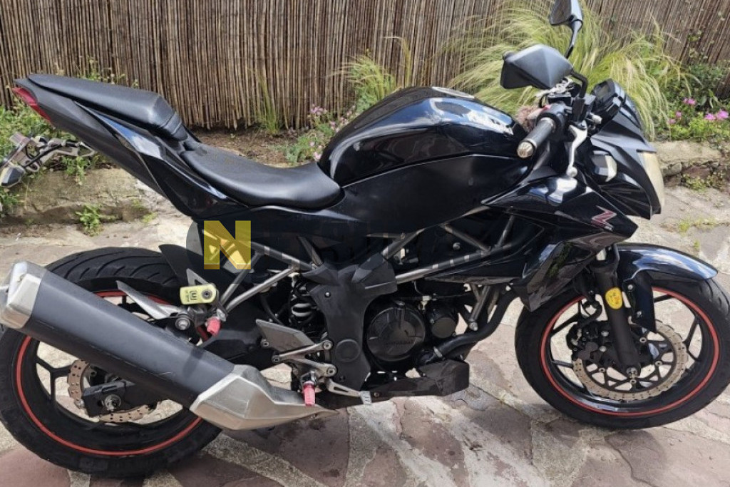Kawasaki Z 250 SL 2015