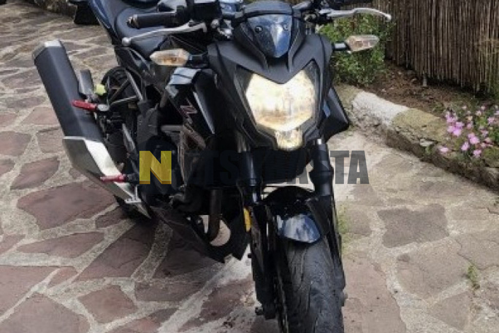 Kawasaki Z 250 SL 2015