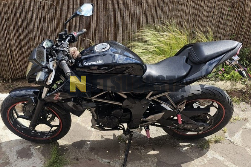 Kawasaki Z 250 SL 2015