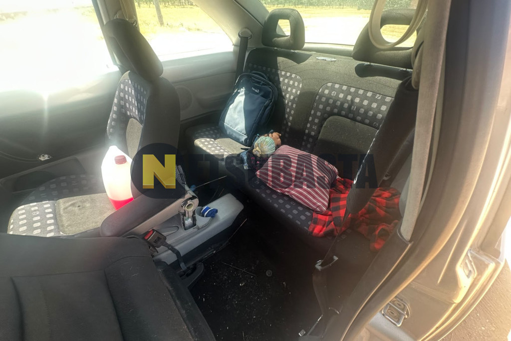 Volkswagen New Beetle 2.0 1999