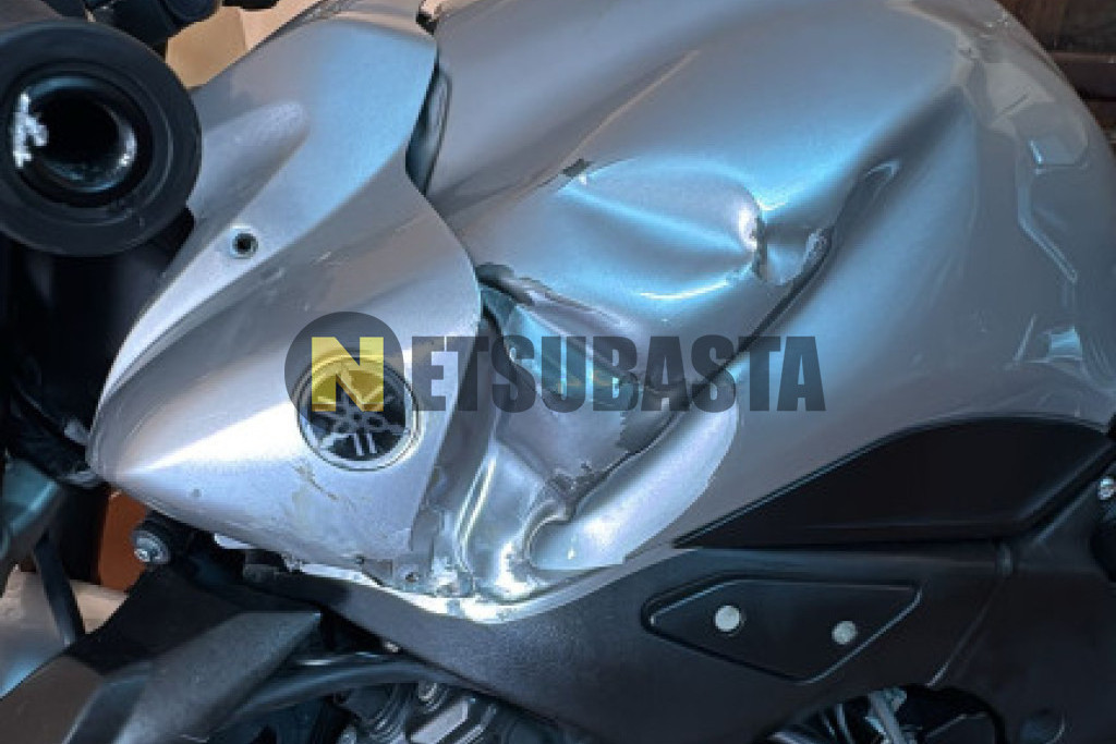 Yamaha FZ1 N 2009