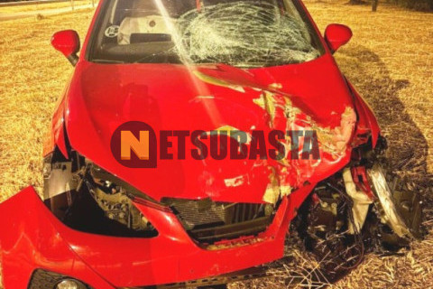 Seat Ibiza 1.6 TDI DPF 2010