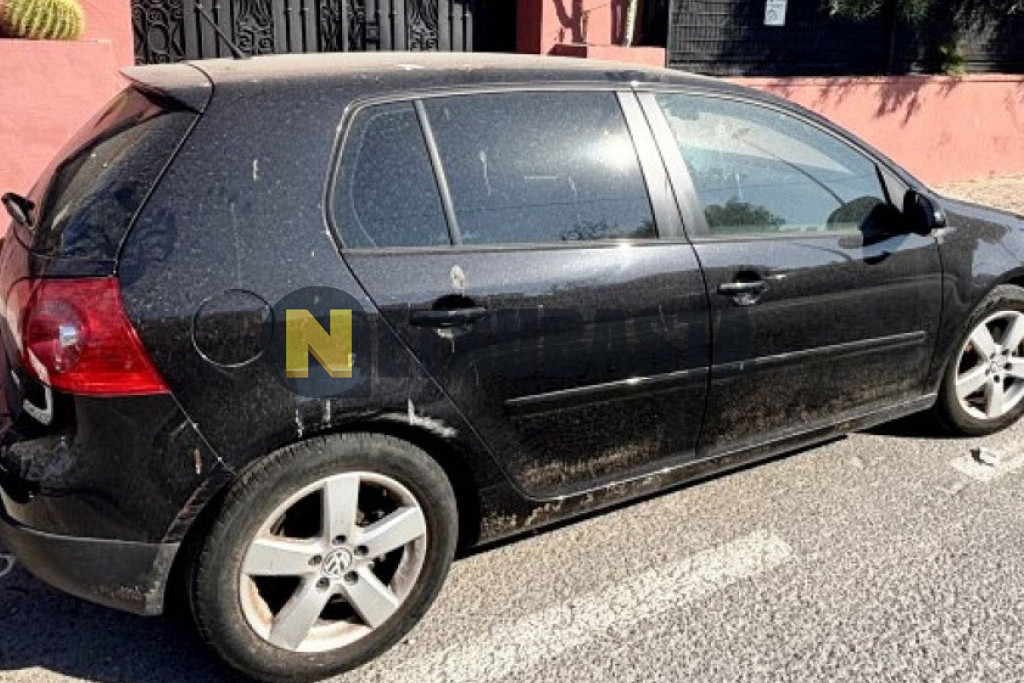 Volkswagen Golf 1.9 TDI DSG 6 vel. 2007