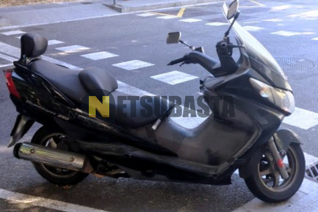Suzuki BURGMAN 250 2008