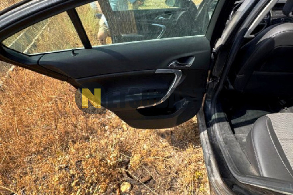 Opel Insignia 2.0 CDTI ecoFLEX 2010
