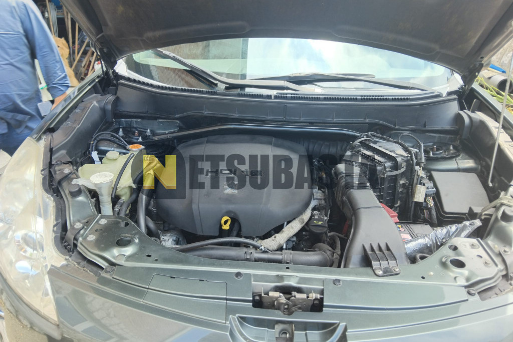 Peugeot 4007 2.2 HDi 2009