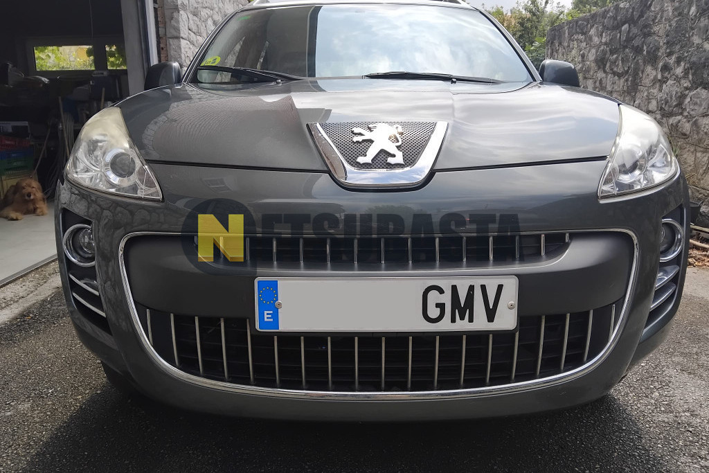 Peugeot 4007 2.2 HDi 2009