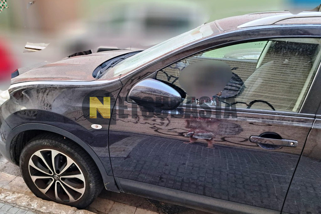Nissan Qashqai+2 1.5 dCi 4x2 2013