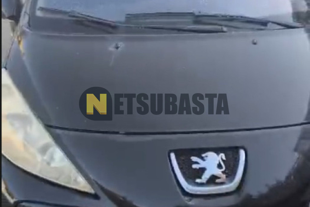 Peugeot 207 1.4 16v 2006