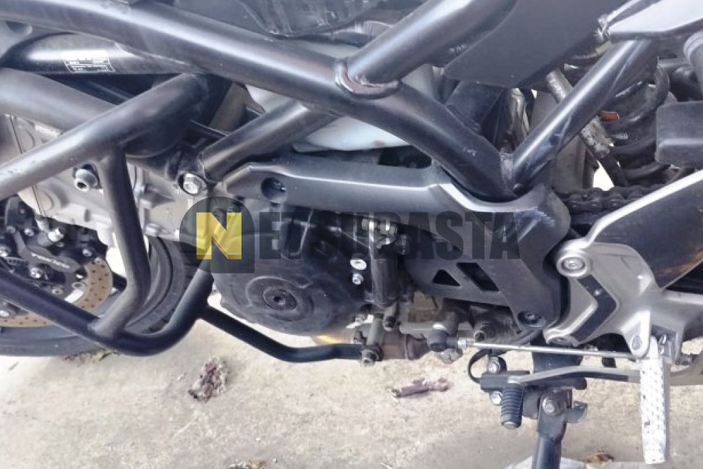 Suzuki SV 650 2020