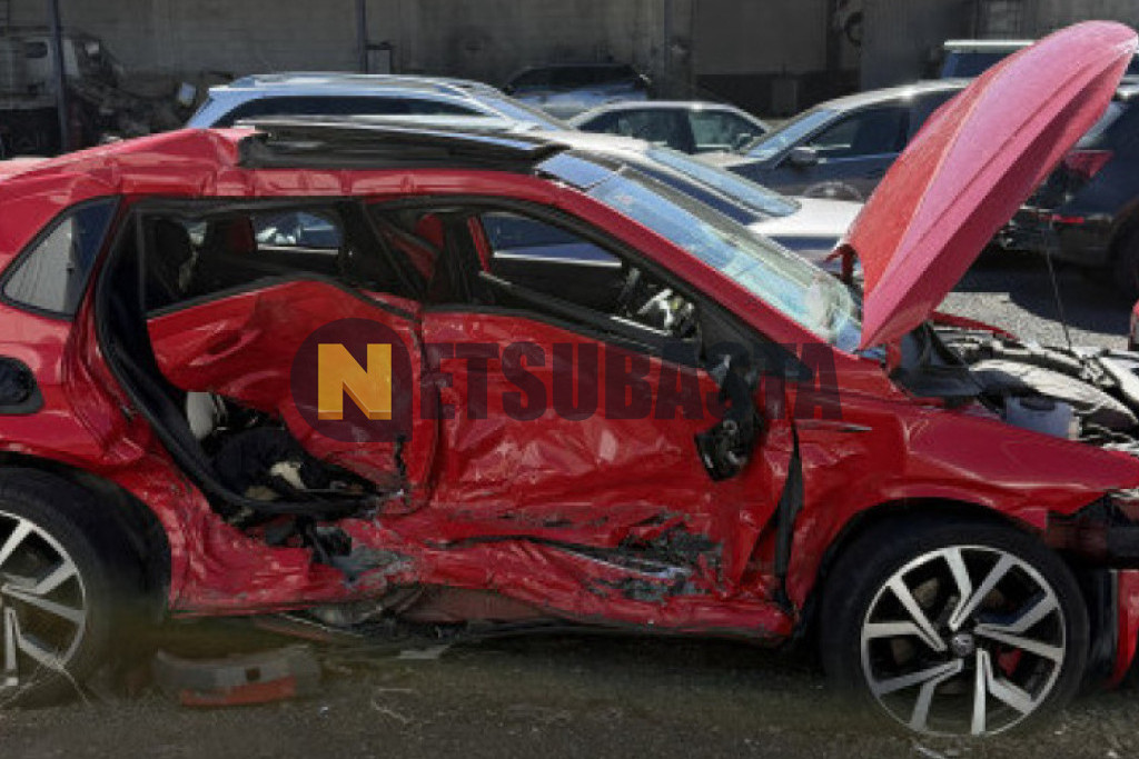 Volkswagen Polo GTI 2.0 TSI DSG 6 vel. 2019